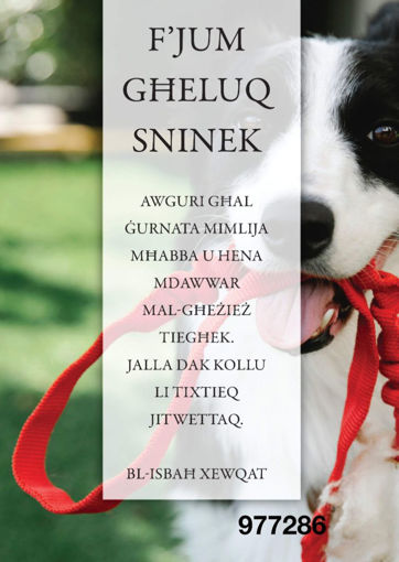 Picture of FJUM GHELUQ SNINEK KARTOLINA